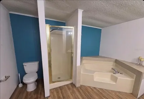 4738 SW 166th Court Road Ocala FL 34481