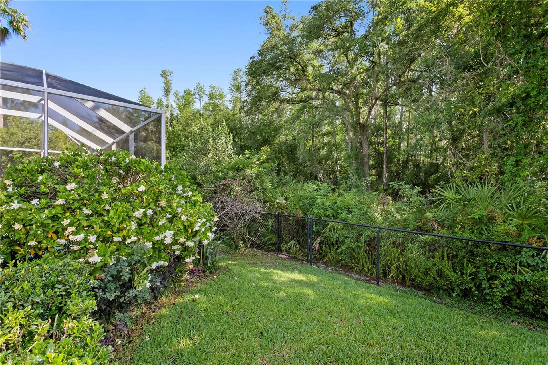 10237 Garden Alcove Drive Tampa FL 33647