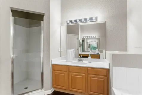10237 Garden Alcove Drive Tampa FL 33647