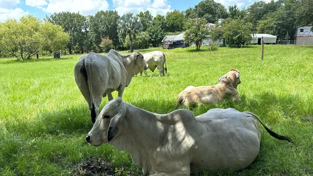 6780 Sugarbush Lane Polk City FL 33868