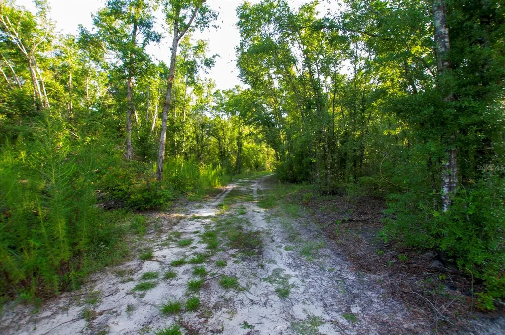 18233 185th Road Live Oak FL 32060