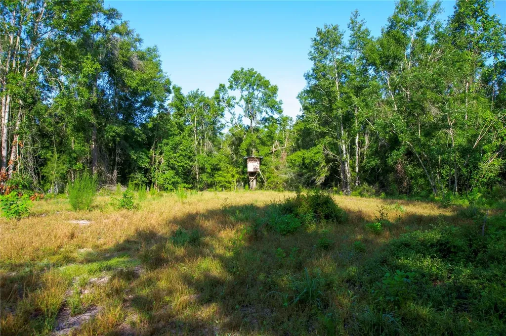 18233 185th Road Live Oak FL 32060
