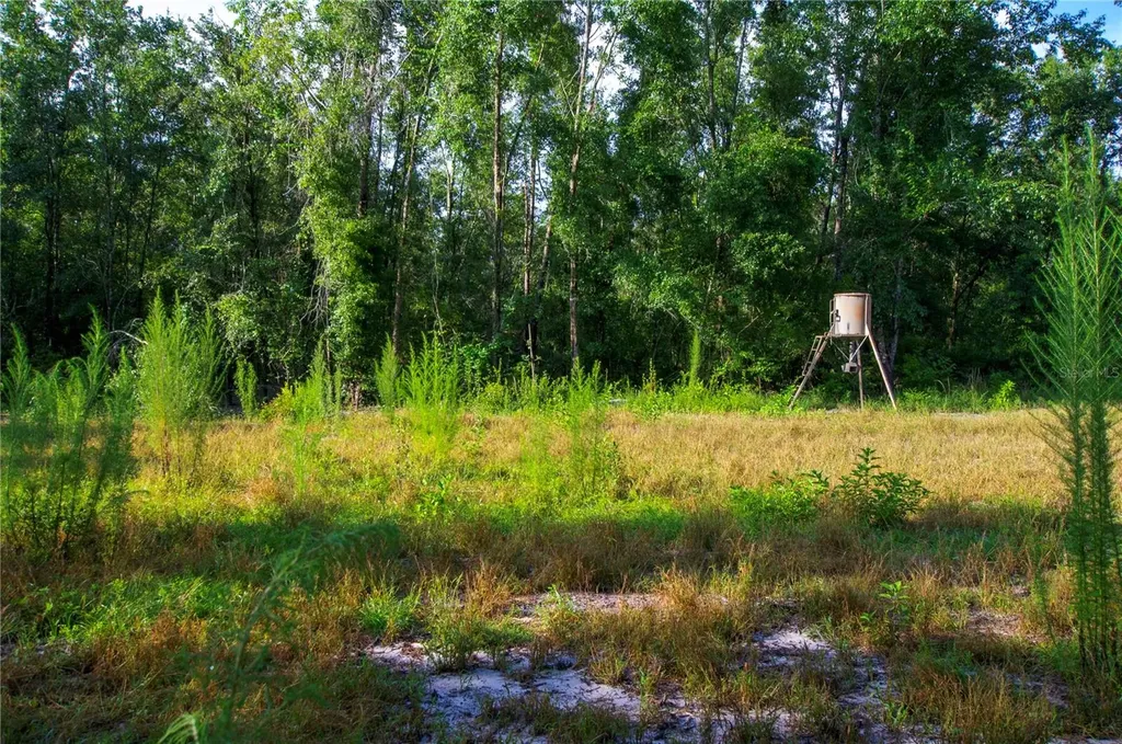 18233 185th Road Live Oak FL 32060