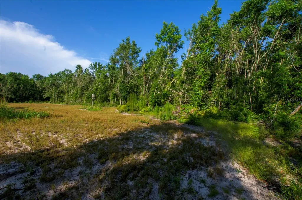 18233 185th Road Live Oak FL 32060