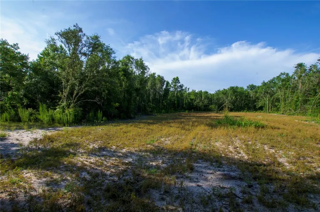 18233 185th Road Live Oak FL 32060