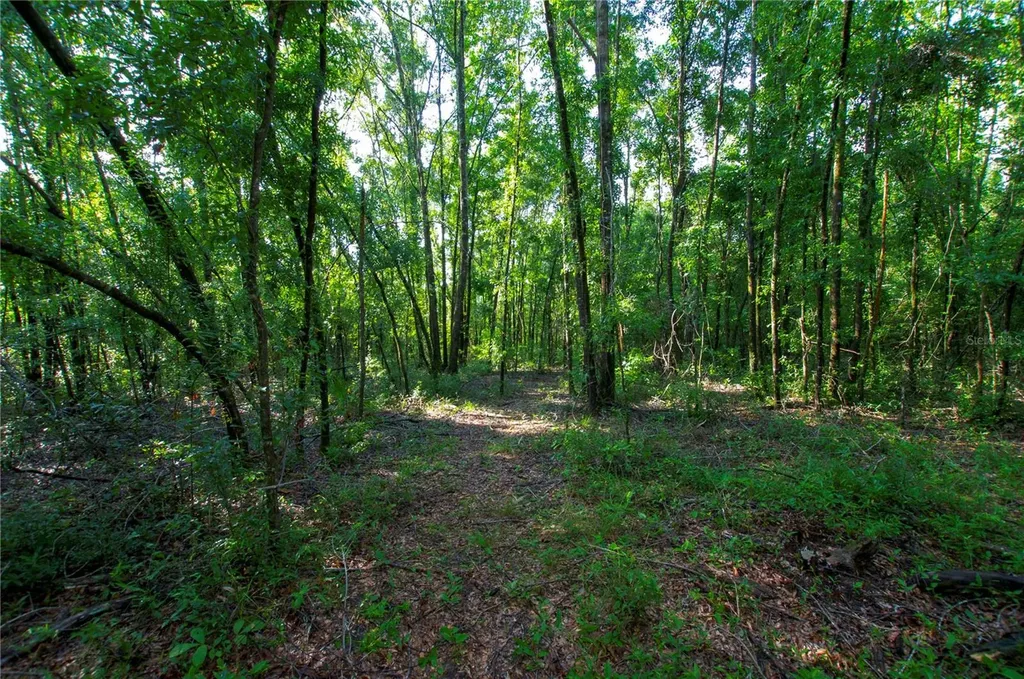 18233 185th Road Live Oak FL 32060