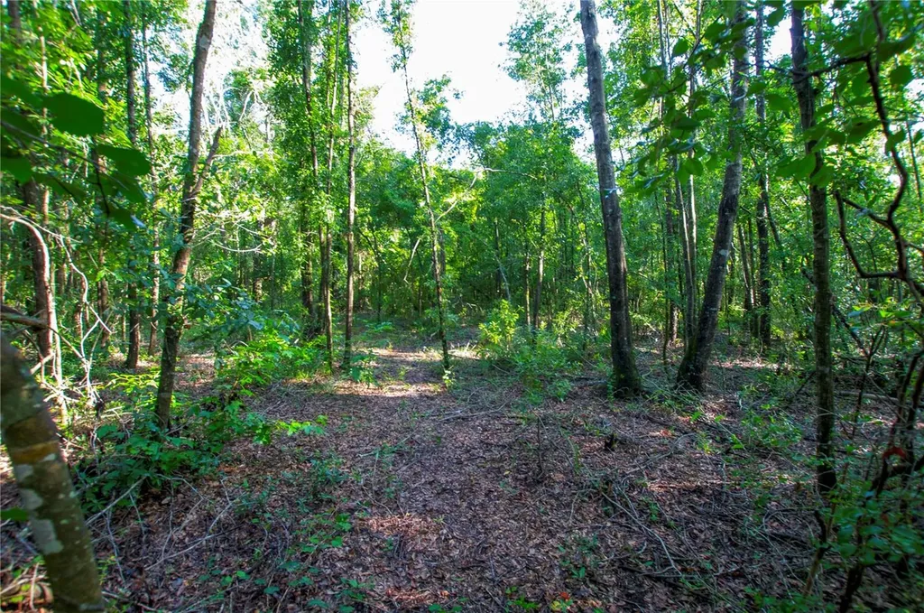 18233 185th Road Live Oak FL 32060