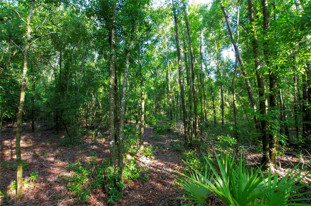 18233 185th Road Live Oak FL 32060