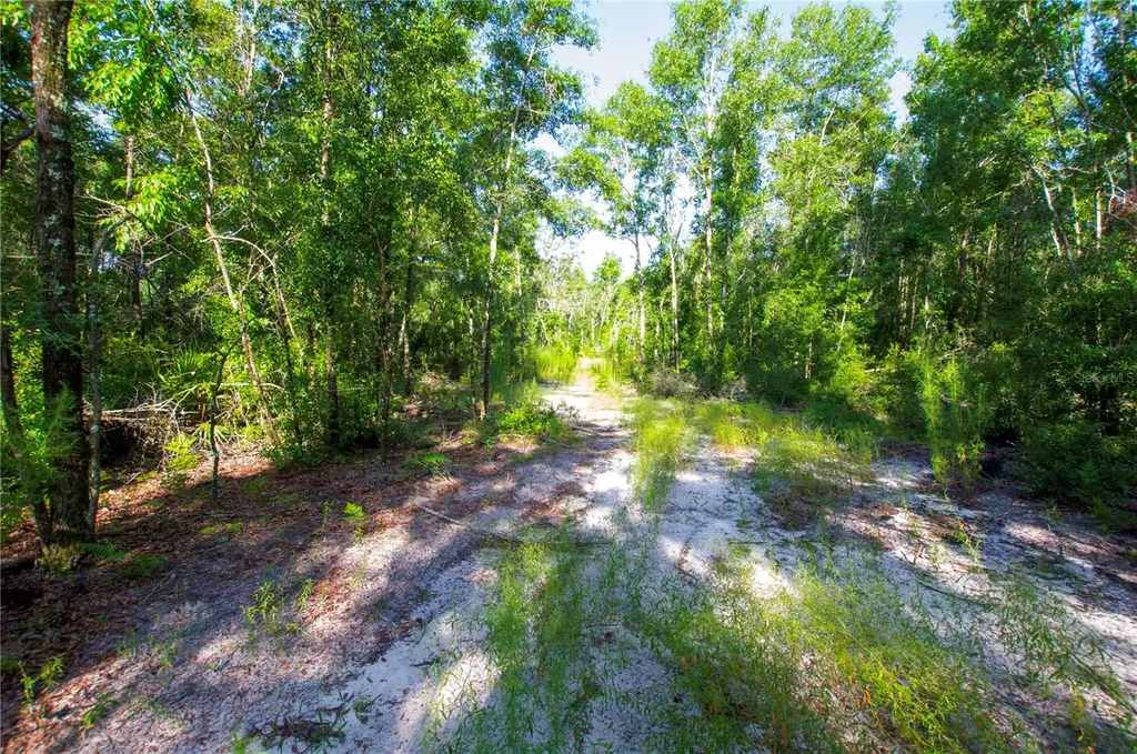 18233 185th Road Live Oak FL 32060
