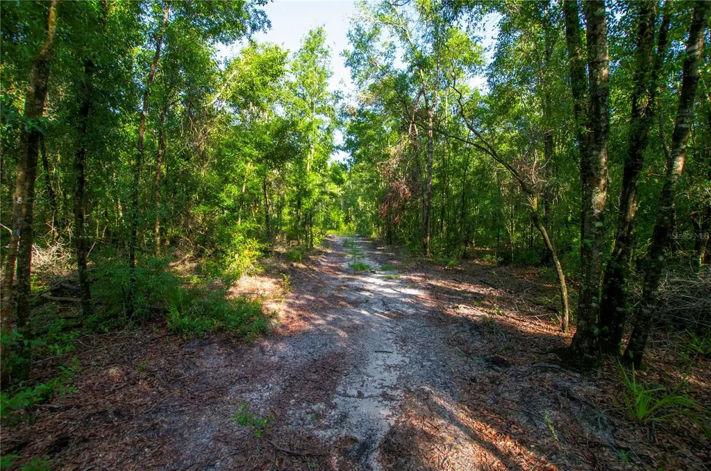 18233 185th Road Live Oak FL 32060