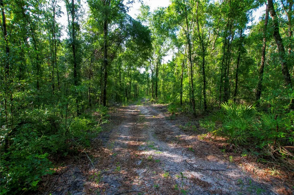 18233 185th Road Live Oak FL 32060