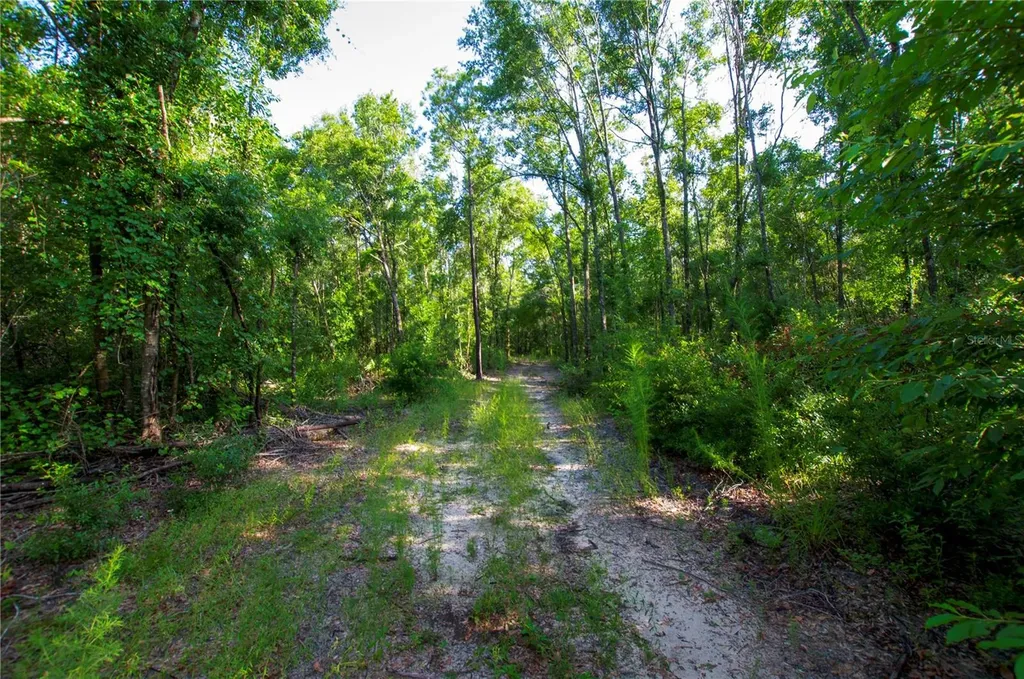 18233 185th Road Live Oak FL 32060
