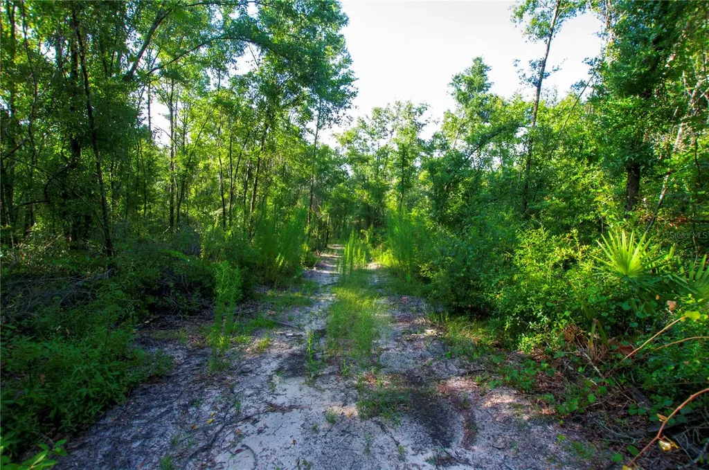 18233 185th Road Live Oak FL 32060