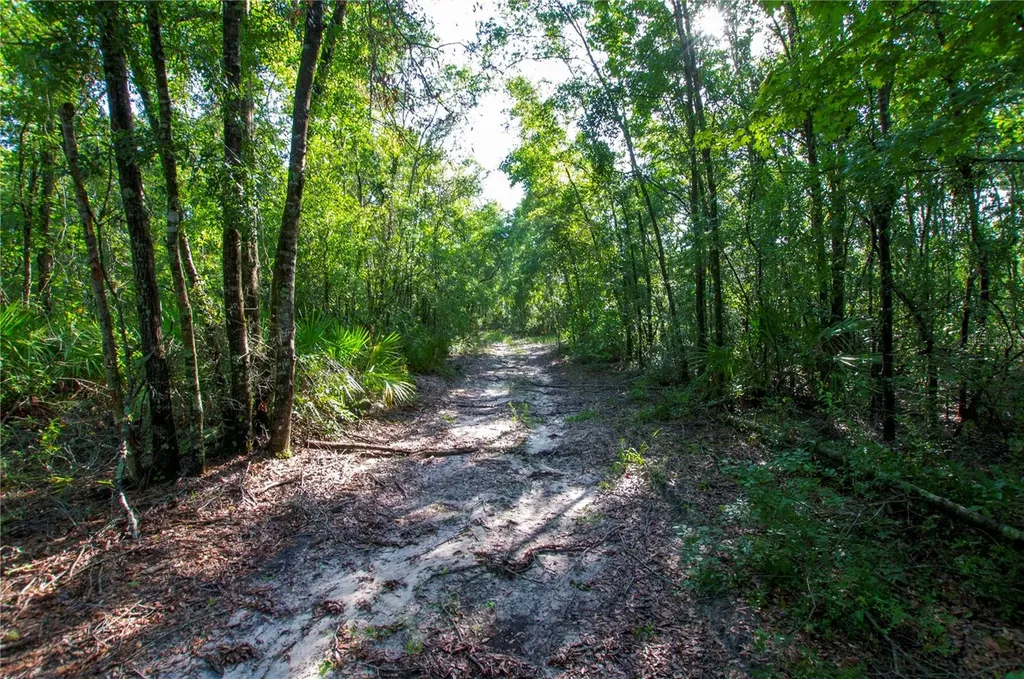 18233 185th Road Live Oak FL 32060