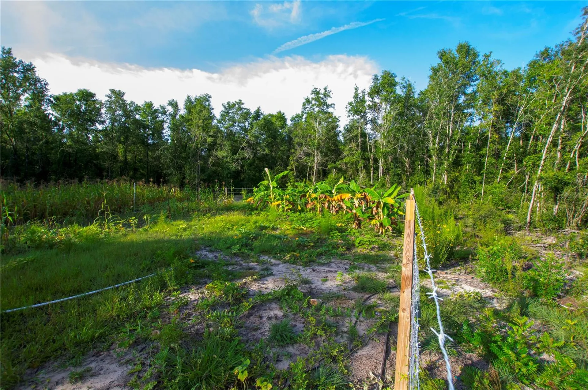 18233 185th Road Live Oak FL 32060