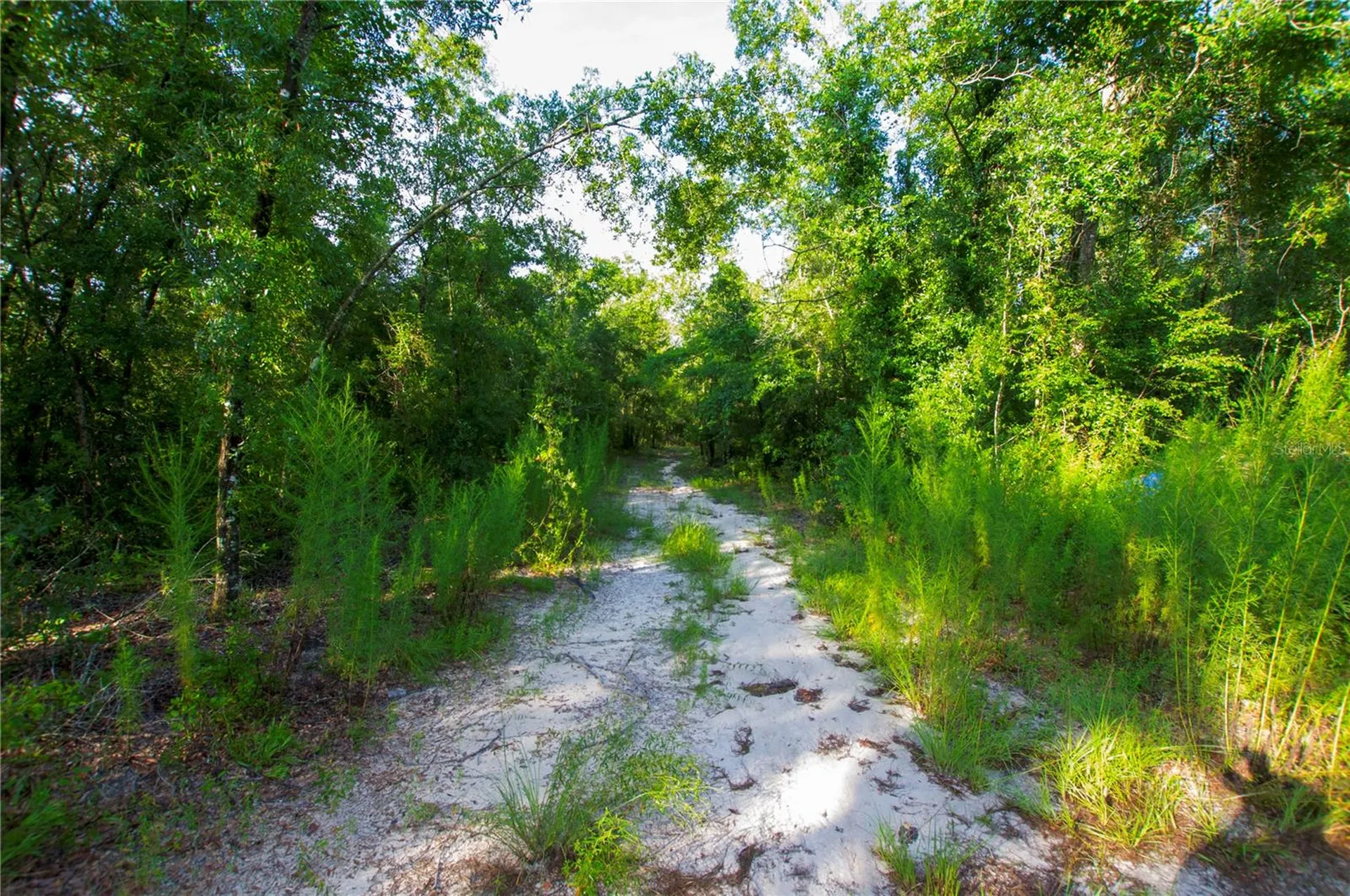 18233 185th Road Live Oak FL 32060