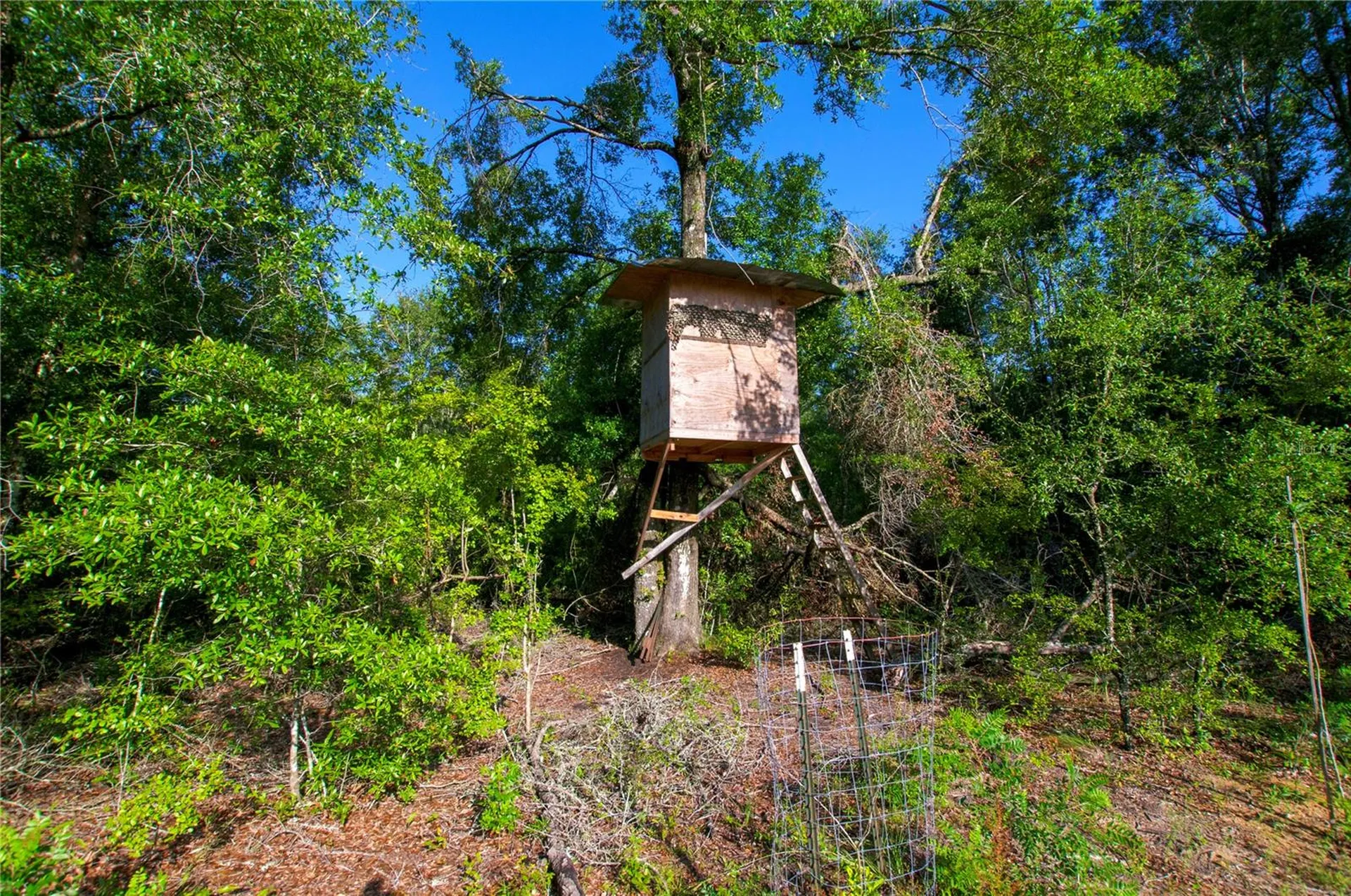 18233 185th Road Live Oak FL 32060