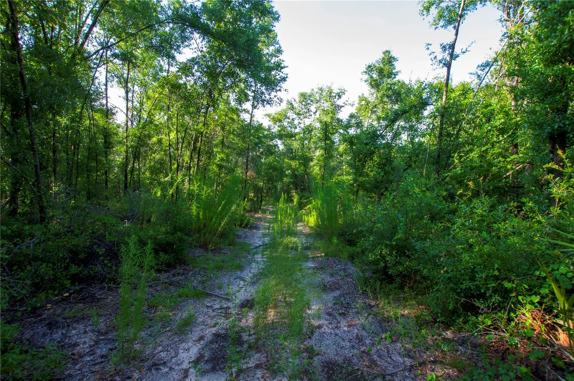 18233 185th Road Live Oak FL 32060