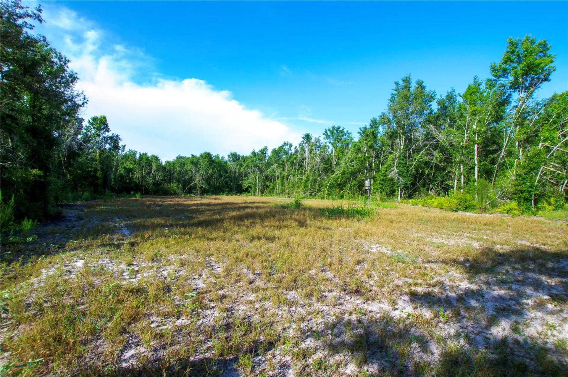18233 185th Road Live Oak FL 32060
