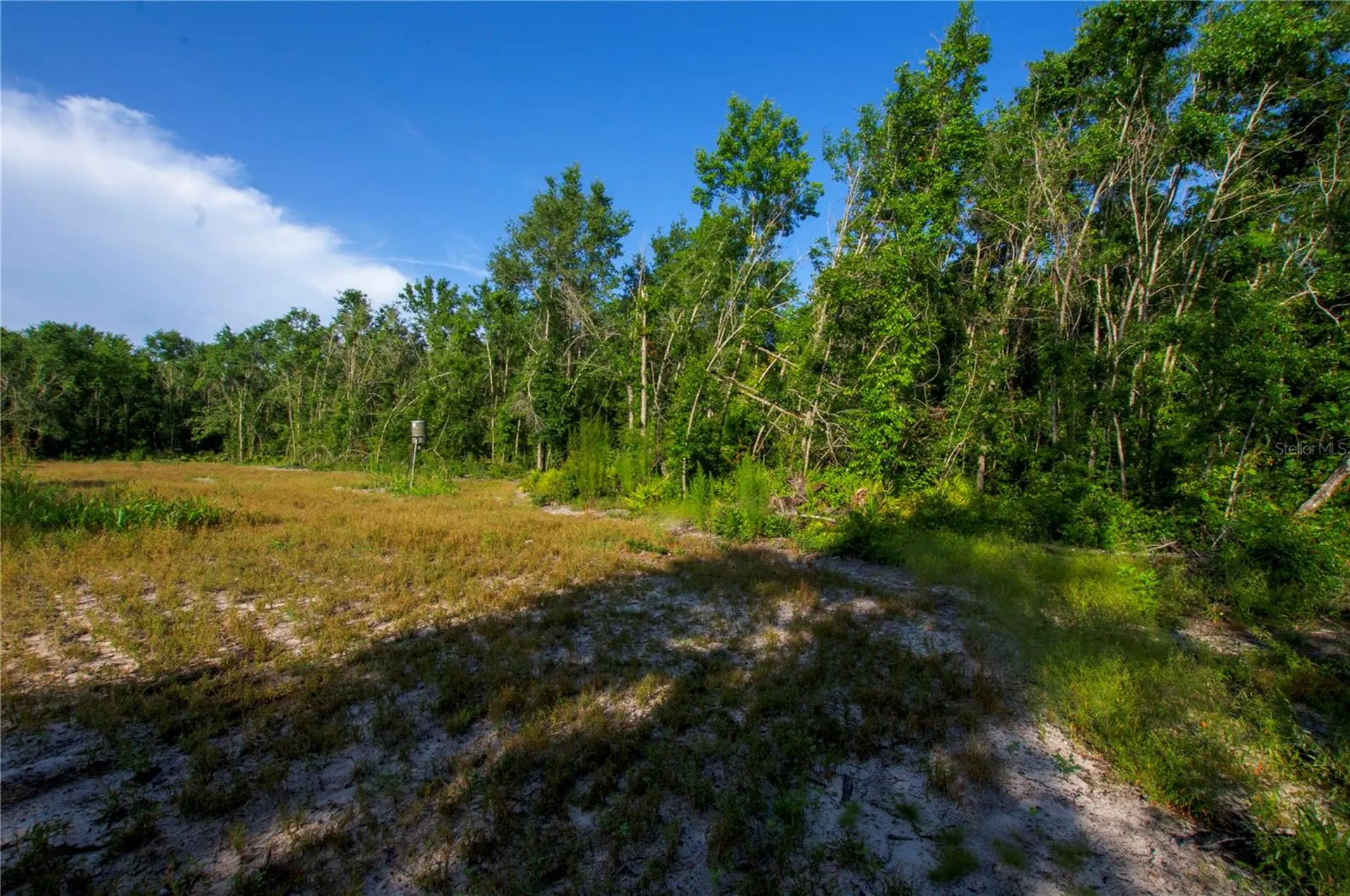 18233 185th Road Live Oak FL 32060