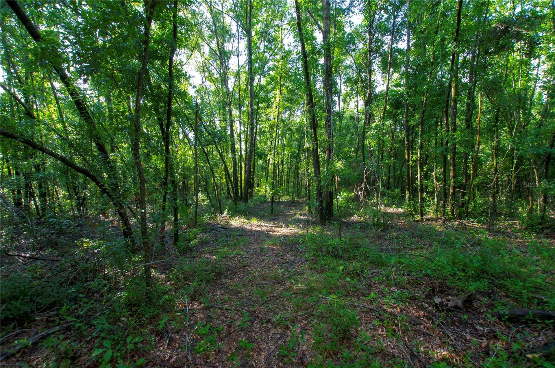 18233 185th Road Live Oak FL 32060