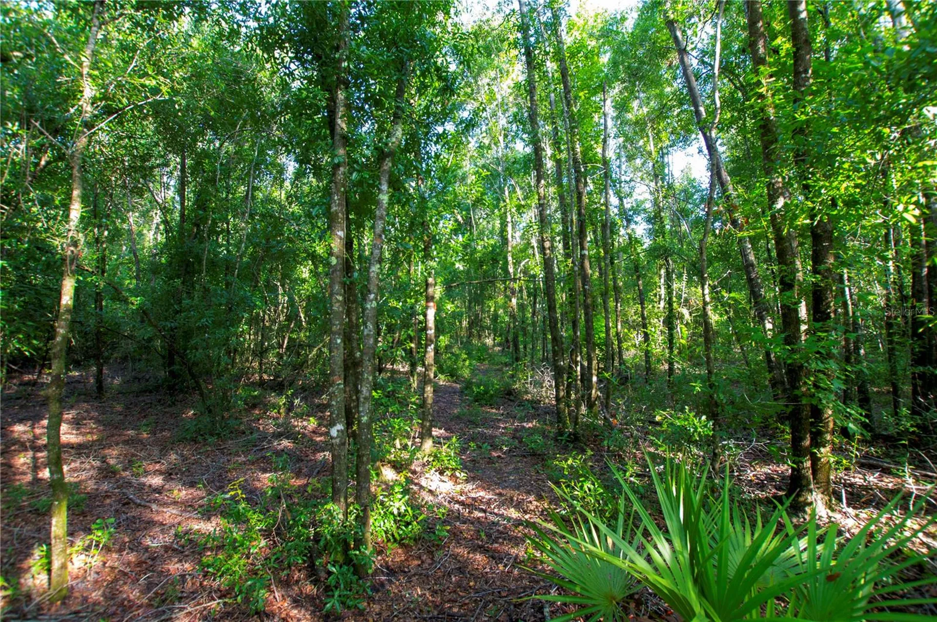 18233 185th Road Live Oak FL 32060