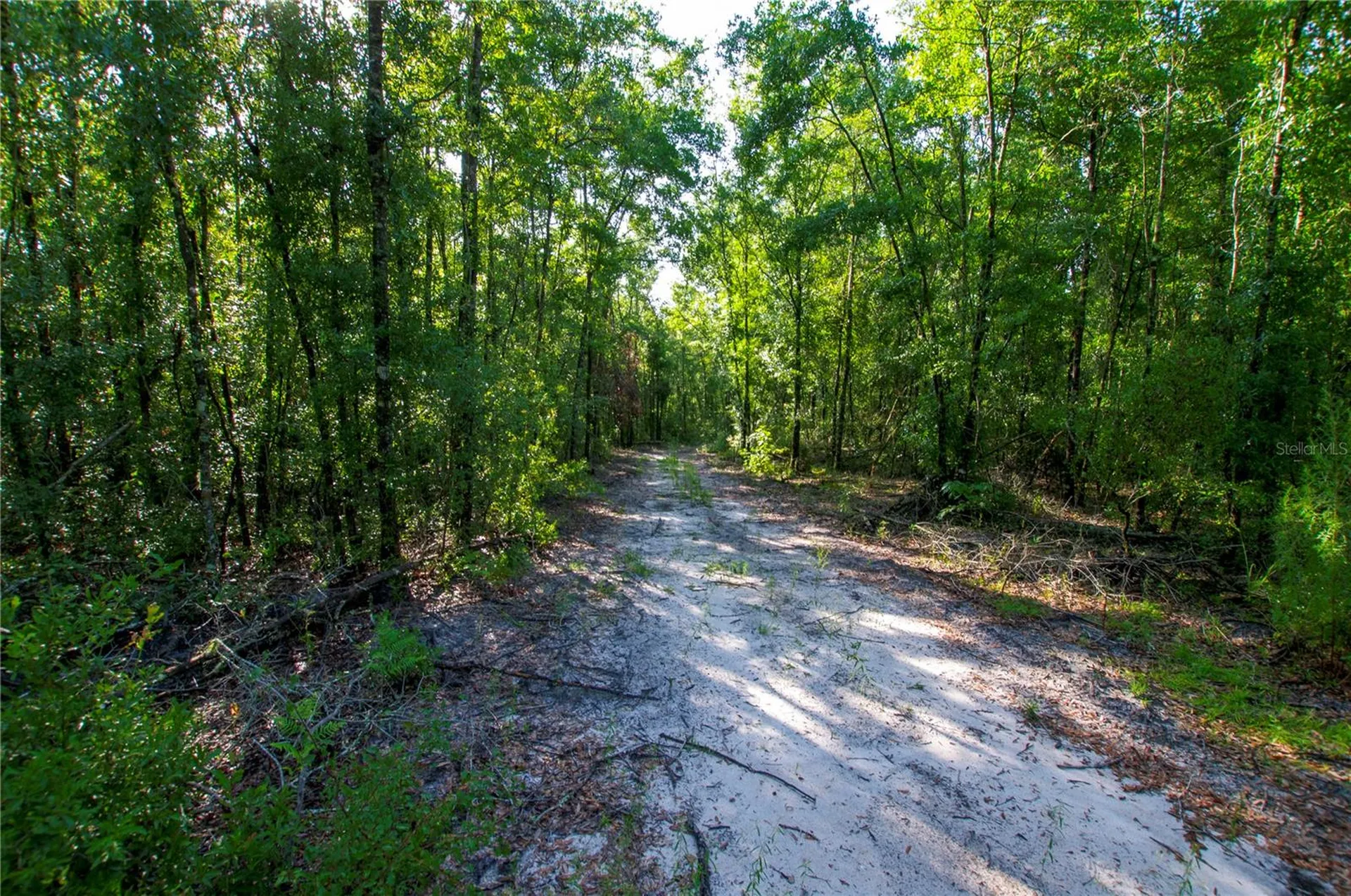 18233 185th Road Live Oak FL 32060