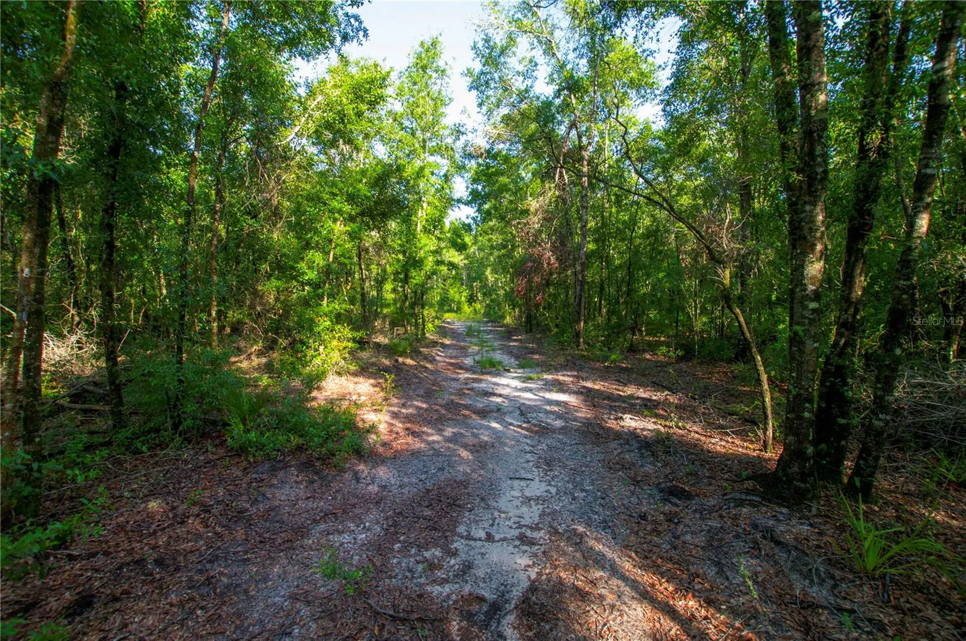 18233 185th Road Live Oak FL 32060