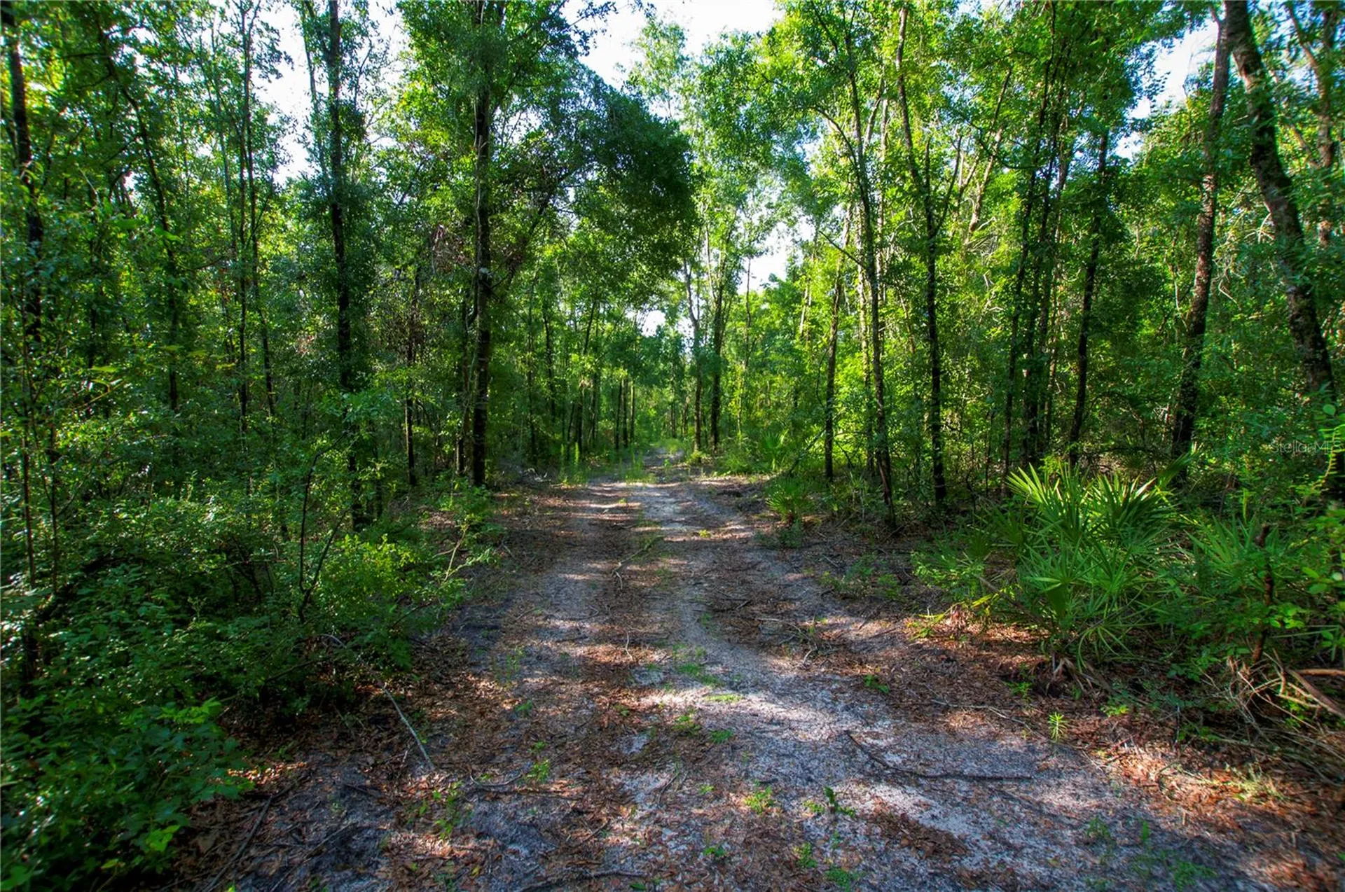 18233 185th Road Live Oak FL 32060