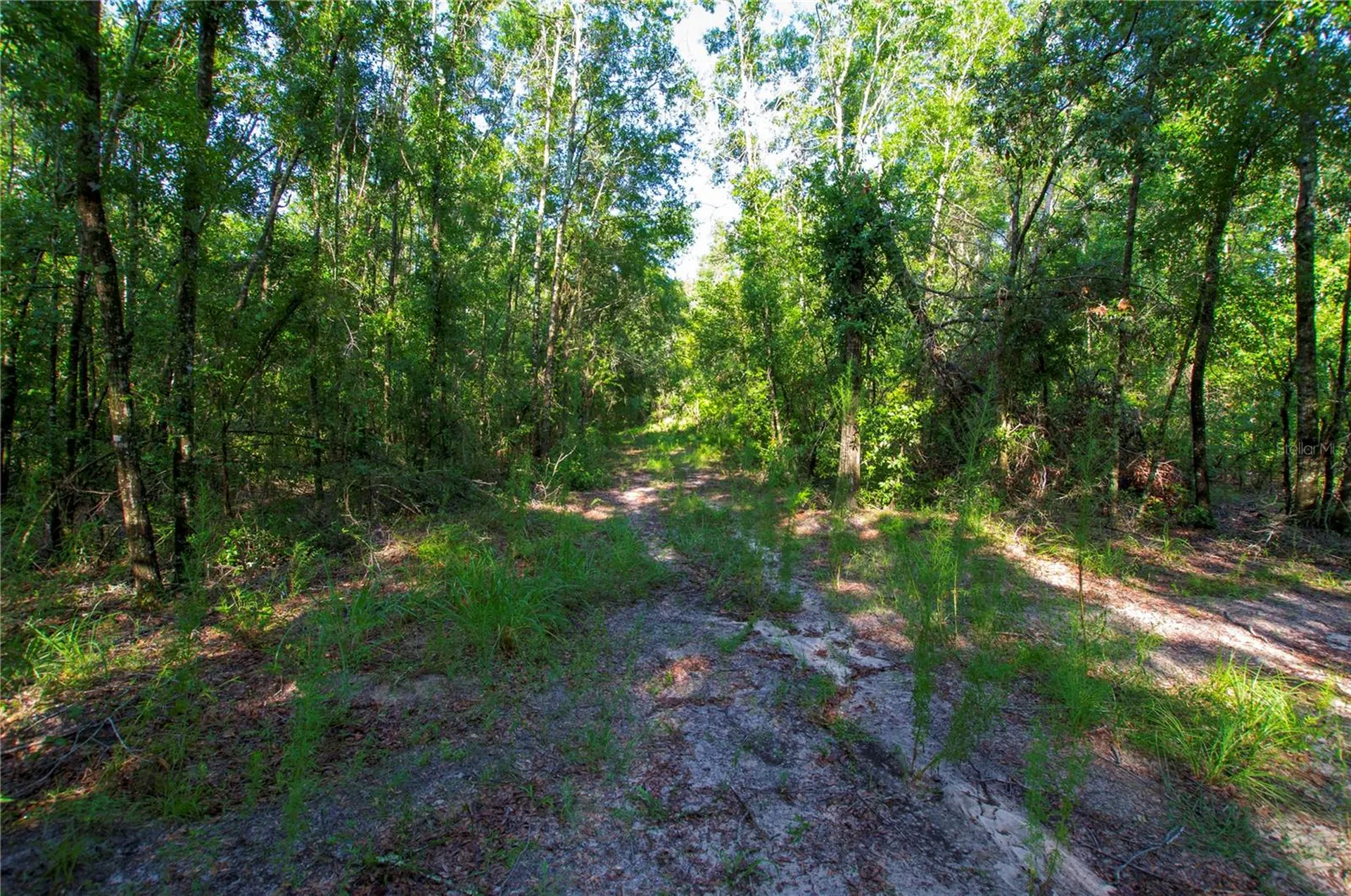 18233 185th Road Live Oak FL 32060