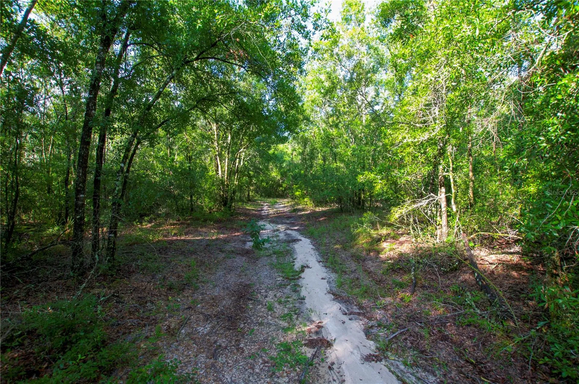 18233 185th Road Live Oak FL 32060