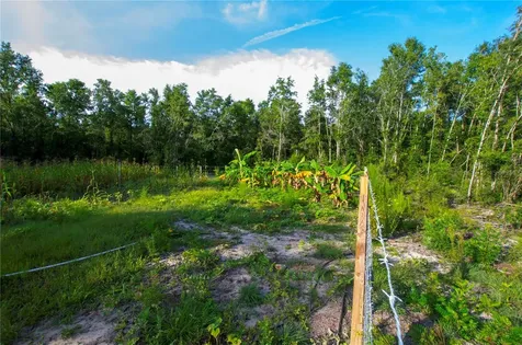 18233 185th Road Live Oak FL 32060