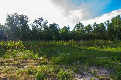 18233 185th Road Live Oak FL 32060