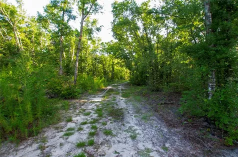 18233 185th Road Live Oak FL 32060
