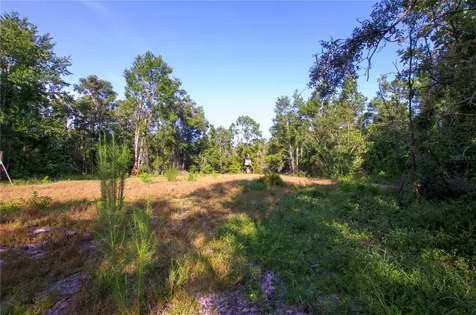 18233 185th Road Live Oak FL 32060