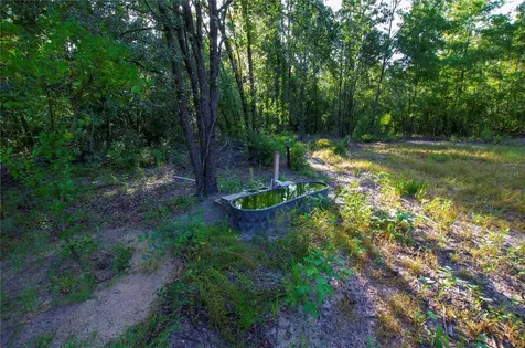 18233 185th Road Live Oak FL 32060