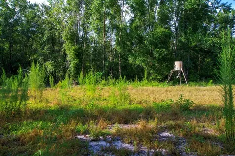 18233 185th Road Live Oak FL 32060