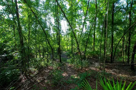 18233 185th Road Live Oak FL 32060