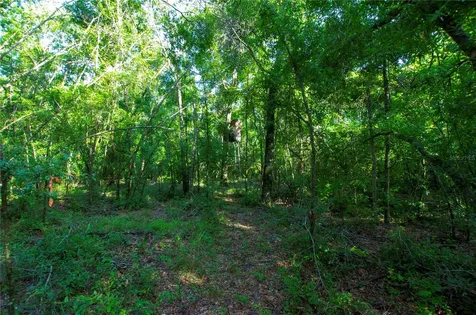 18233 185th Road Live Oak FL 32060