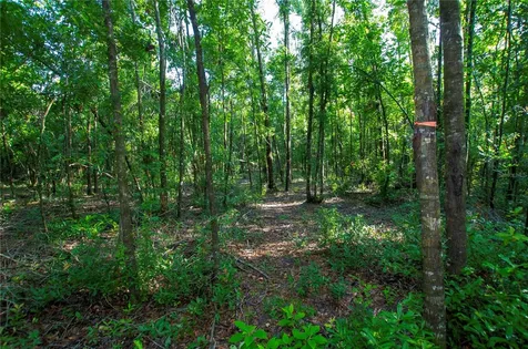18233 185th Road Live Oak FL 32060