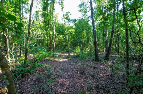 18233 185th Road Live Oak FL 32060