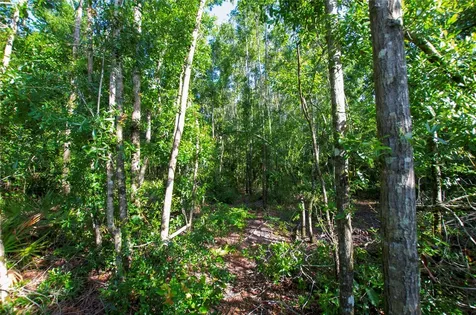 18233 185th Road Live Oak FL 32060