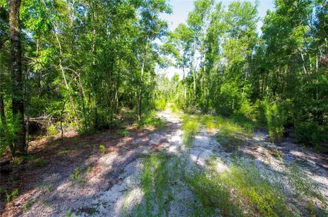 18233 185th Road Live Oak FL 32060