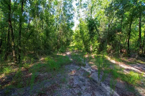 18233 185th Road Live Oak FL 32060