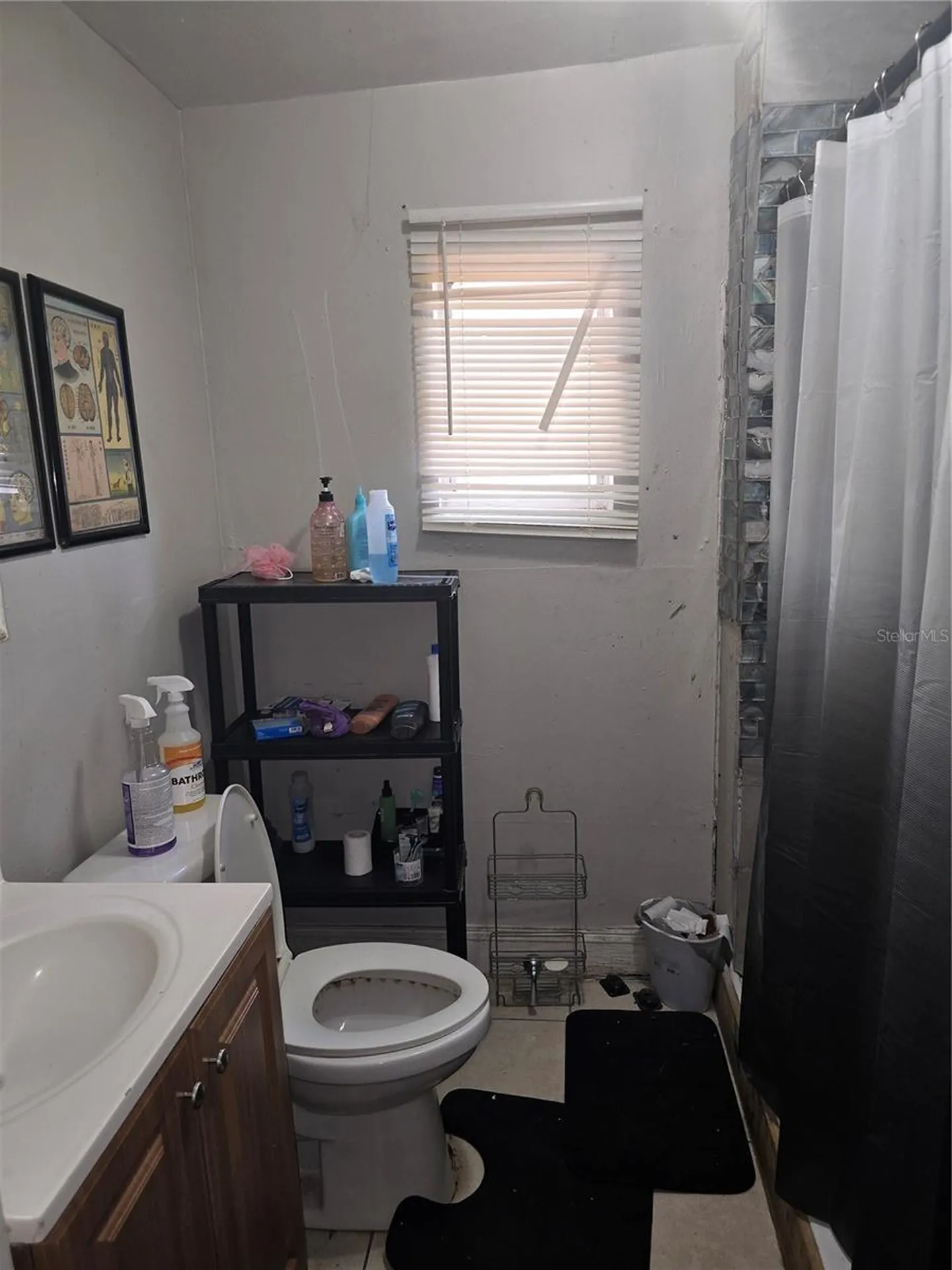 3703 N 51st Street Tampa FL 33619