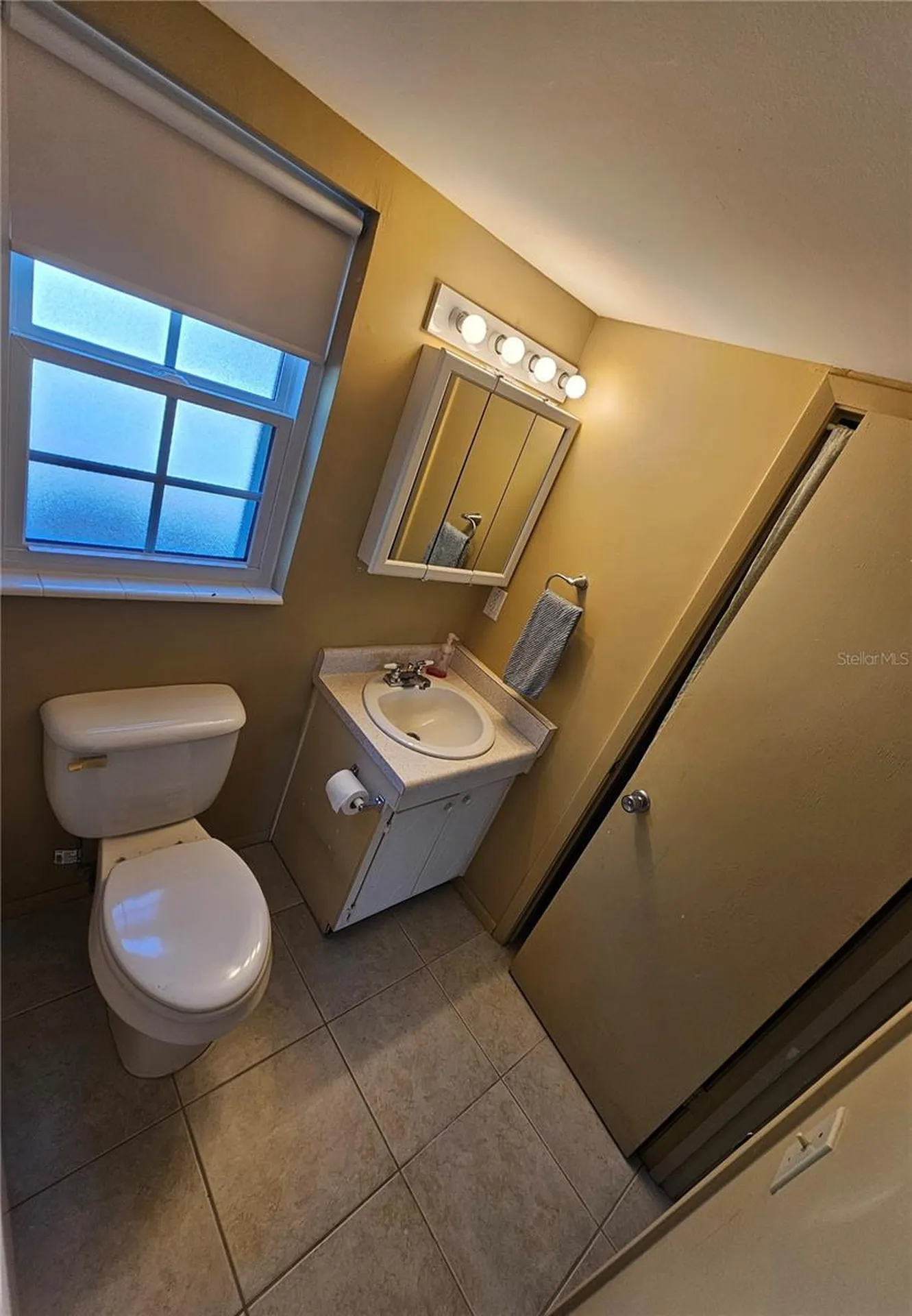 1100 E Caroline Street Tavares FL 32778