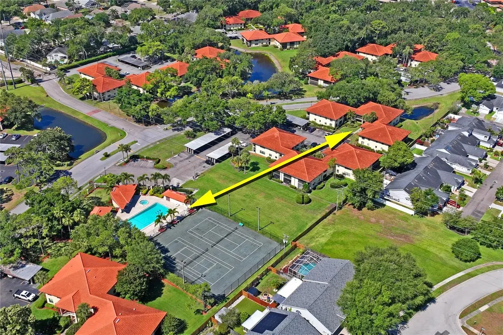 305 Hammock Pine Boulevard Clearwater FL 33761