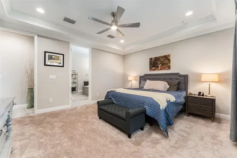 14610 Red Castle Avenue Lithia FL 33547