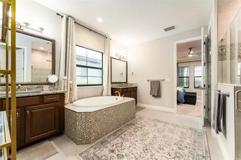 14610 Red Castle Avenue Lithia FL 33547
