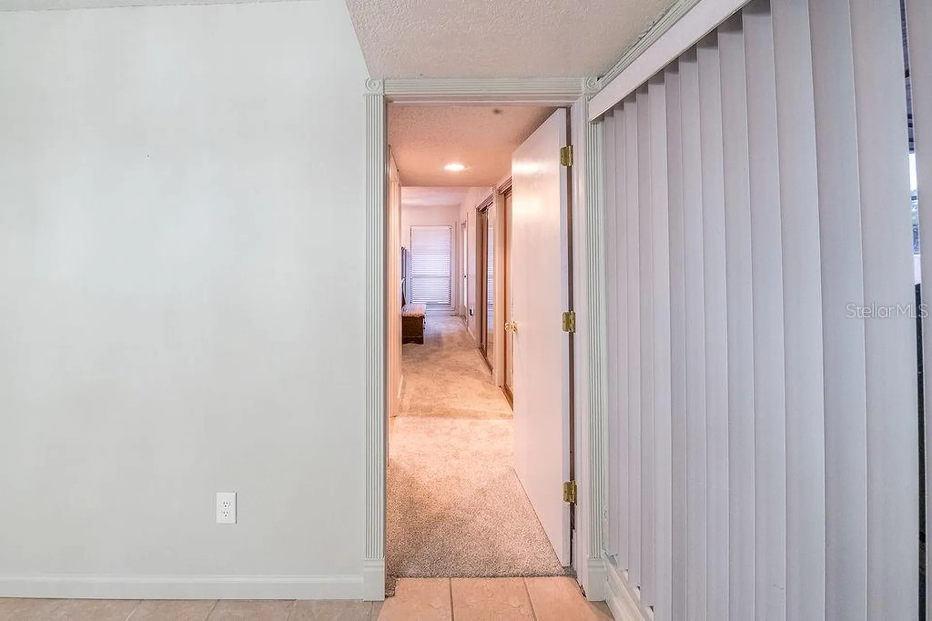 5003 Umber Way S Tampa FL 33624